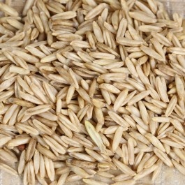 Organic Oats, Hulless - Cook or Sprout