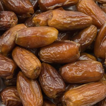 Organic Deglet Noor Dates - OUT OF STOCK