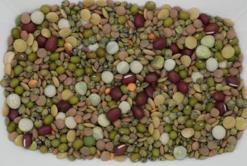 Organic Bean Mix, for Sprouting
