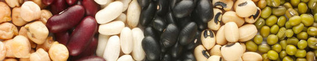 Organic Beans/Lentils/Peas - Dried