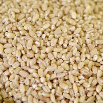 Organic Barley, Pearled